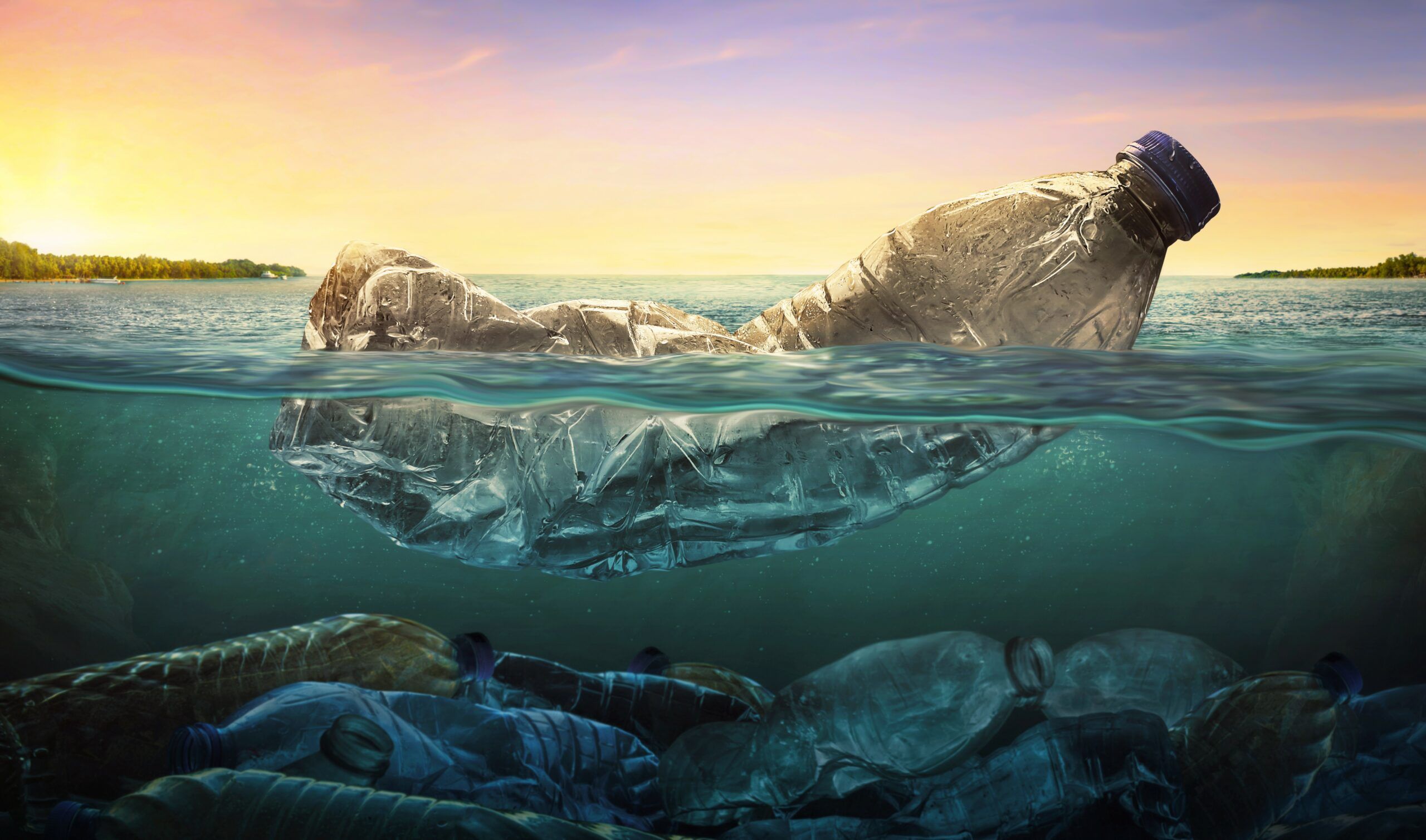 2560x1509 Invasive species can hitchhike on ocean