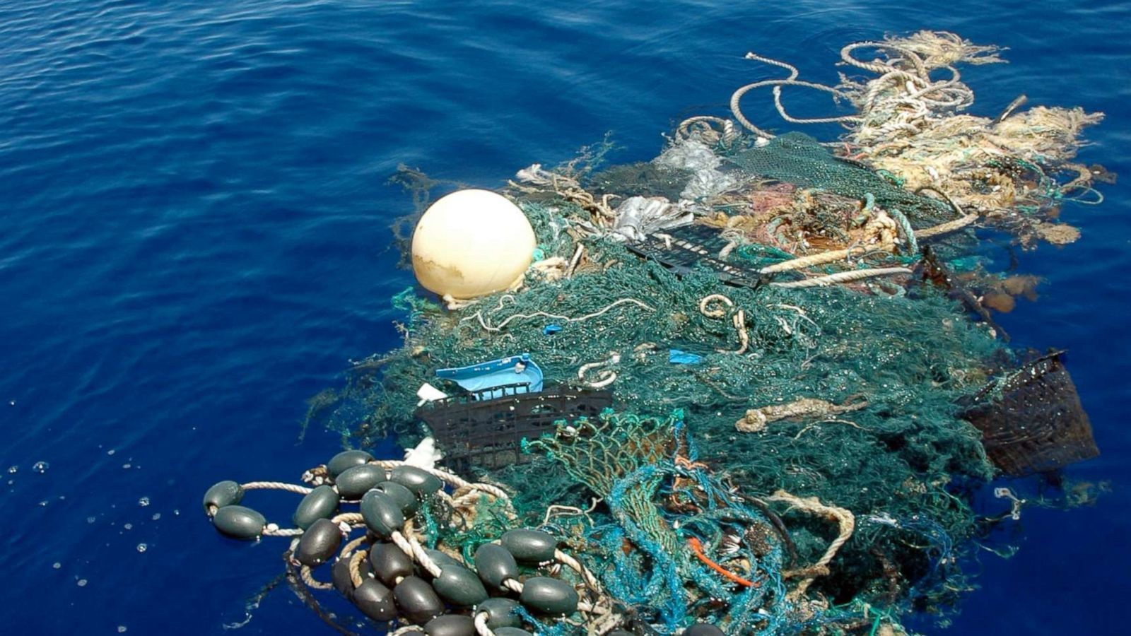 1600x900 World Ocean Day 2019: Ocean plastics