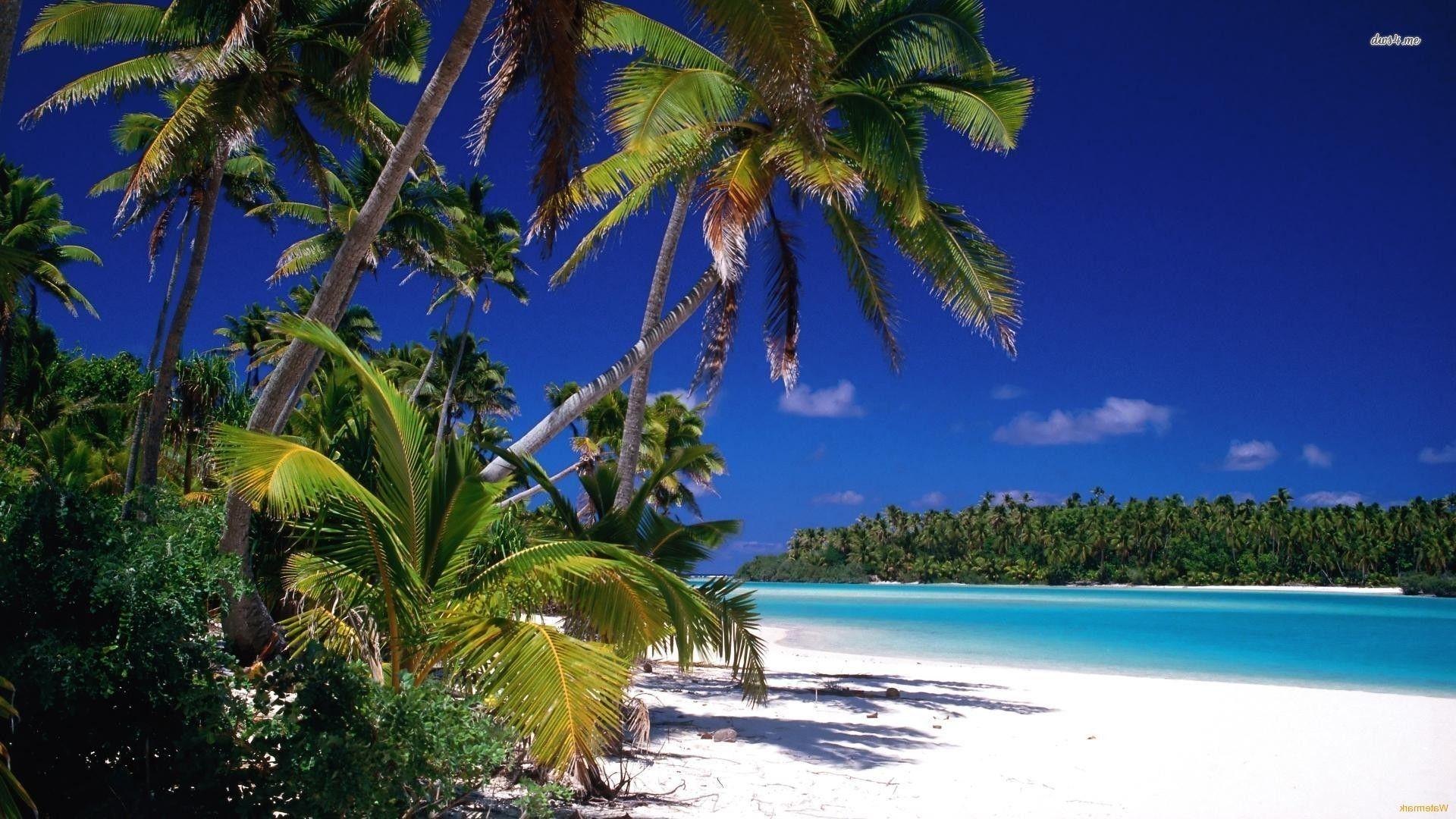 Pacific Island Wallpapers - Top Free Pacific Island Backgrounds