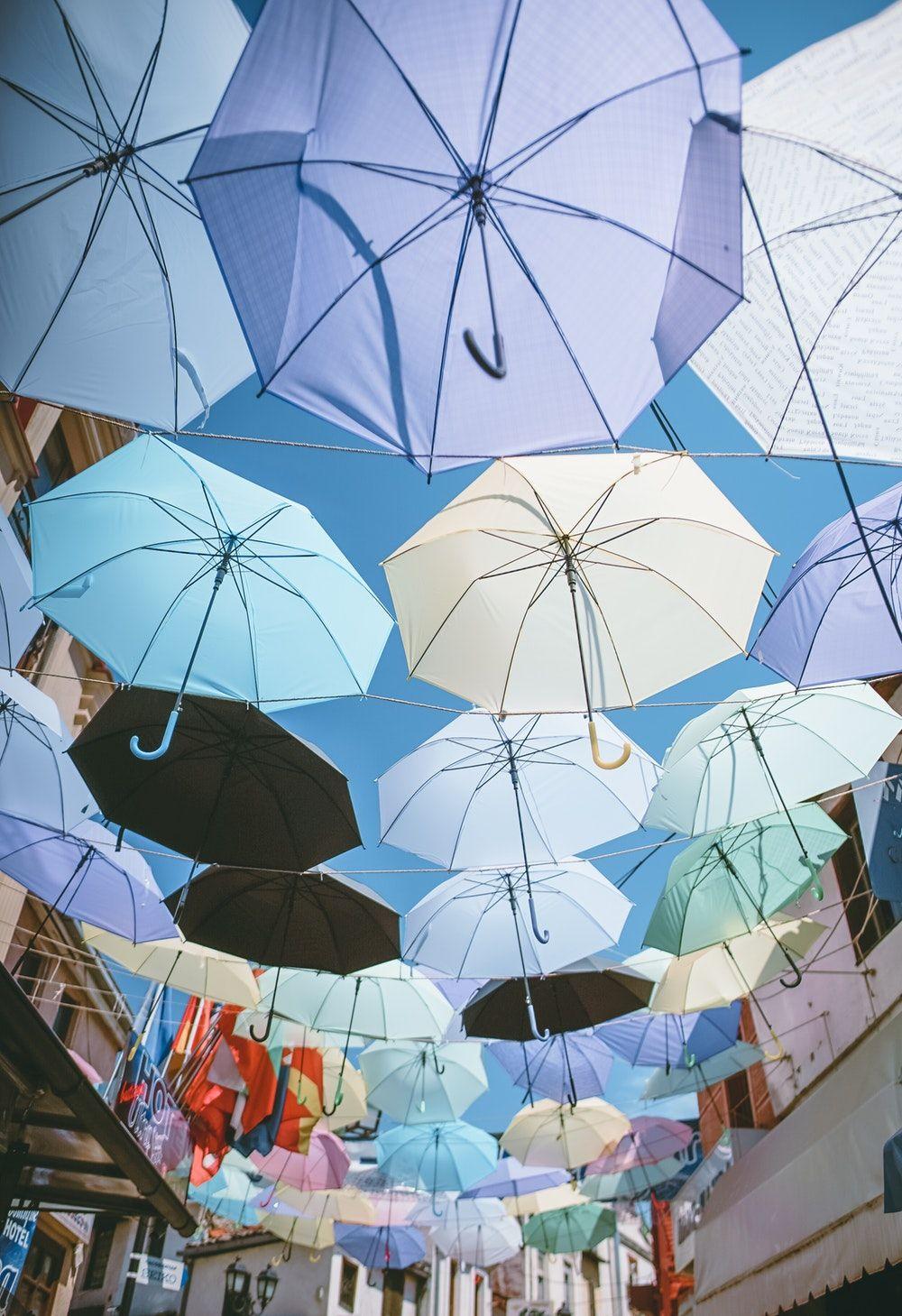 1000x1459 Umbrella Picture. Download Free Image