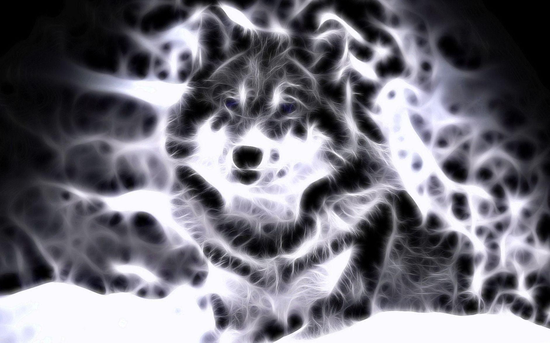 1883x1176 Cool Animal Wallpaper Light Wolf Wallpaper.Pro