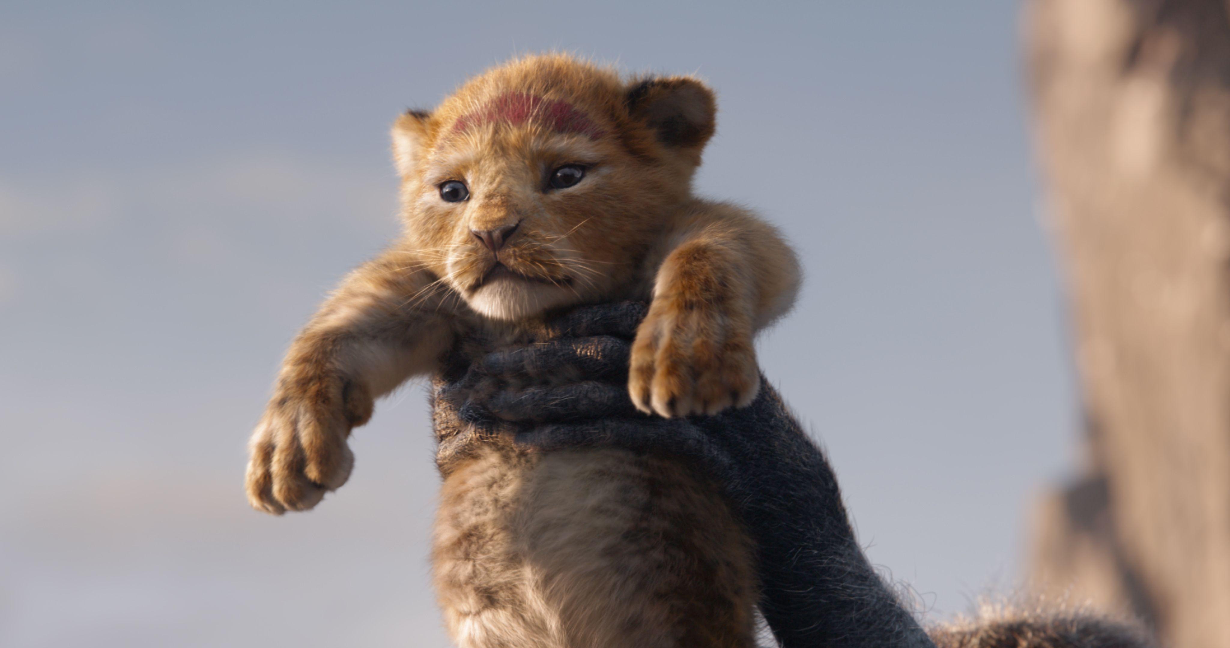 download the lion king 2019