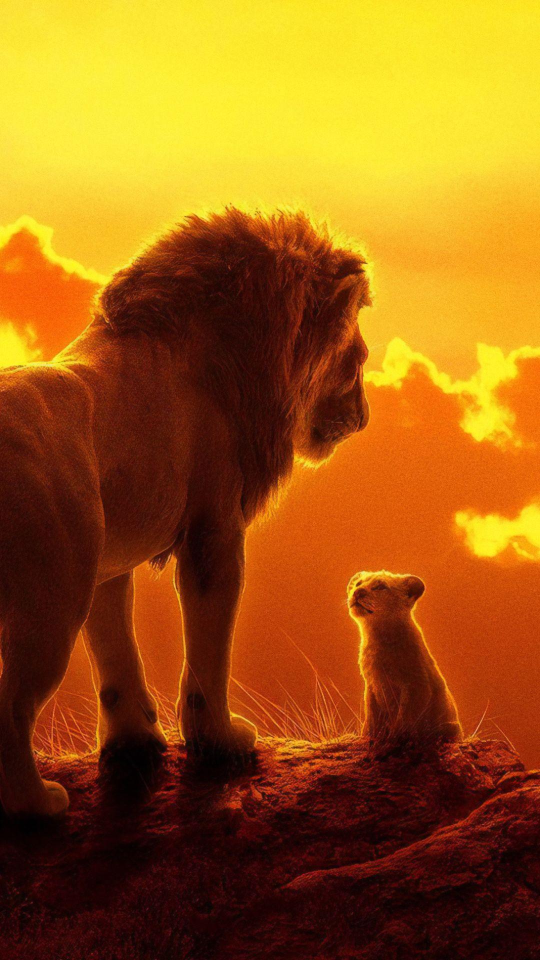 The Lion King 2019 Wallpapers - Top Free The Lion King 2019 Backgrounds