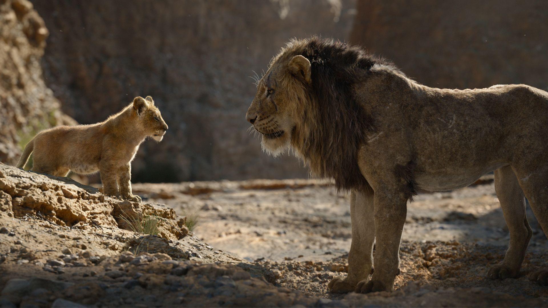 1920x1080 The Lion King 2019 review. Movies For Kids
