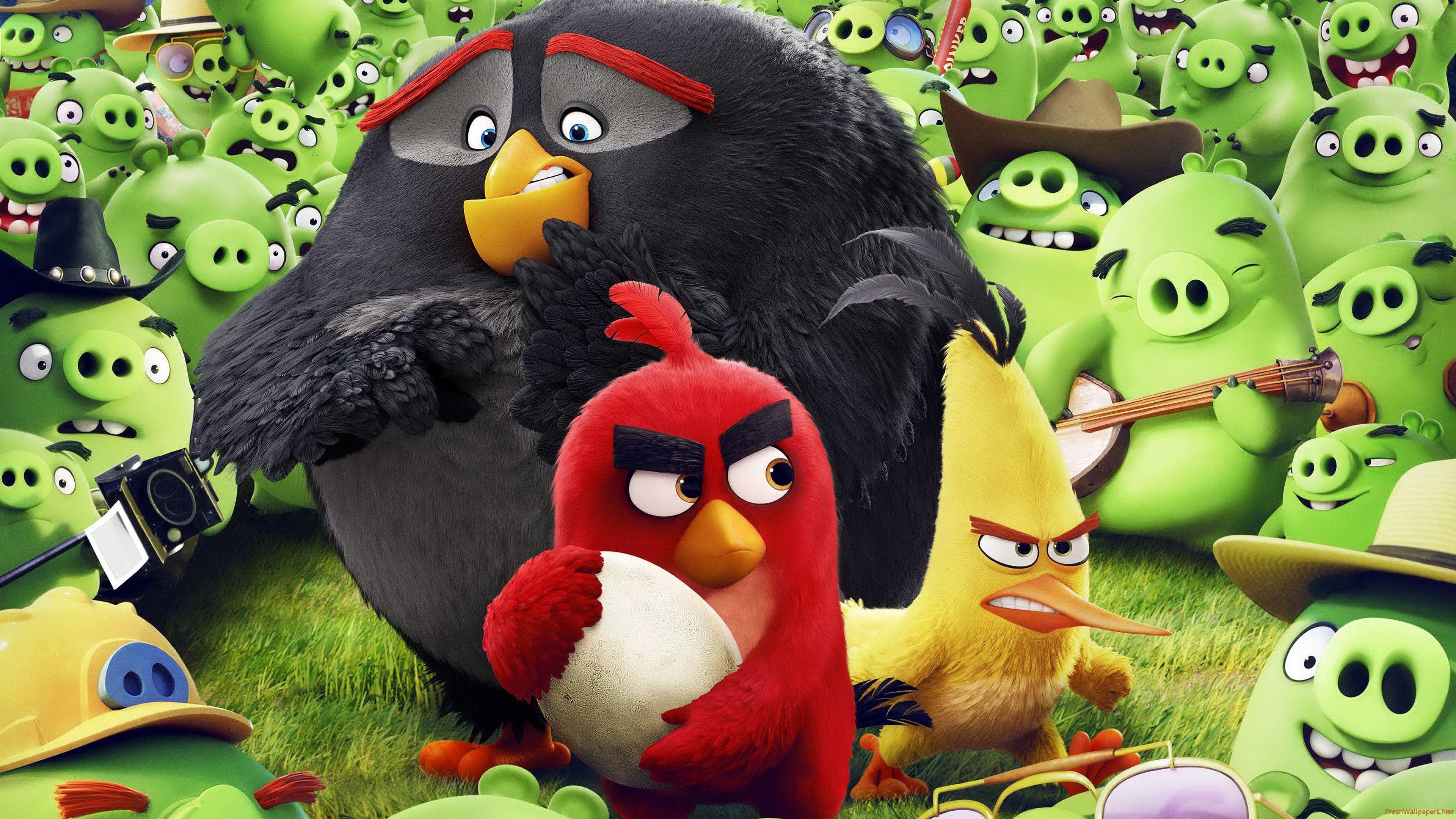 Hình nền Phim Angry Birds 2 - Top Những Hình Ảnh Đẹp