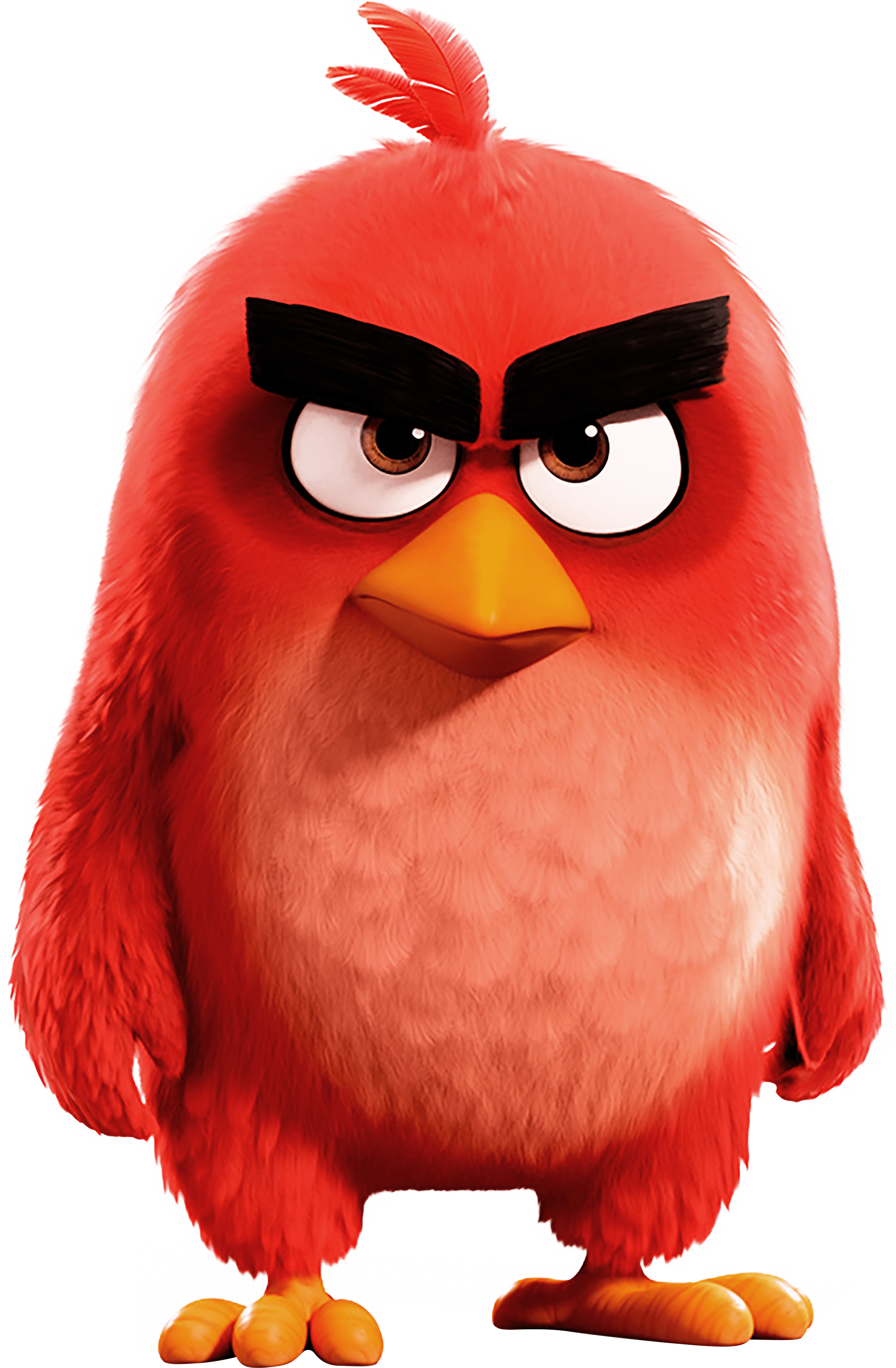 🔥 #the angry birds movie 2 wallpaper - 4k. movies category - android /  iphone hd wallpaper background download HD Photos & Wallpapers (0+ Images)  - Page: 1