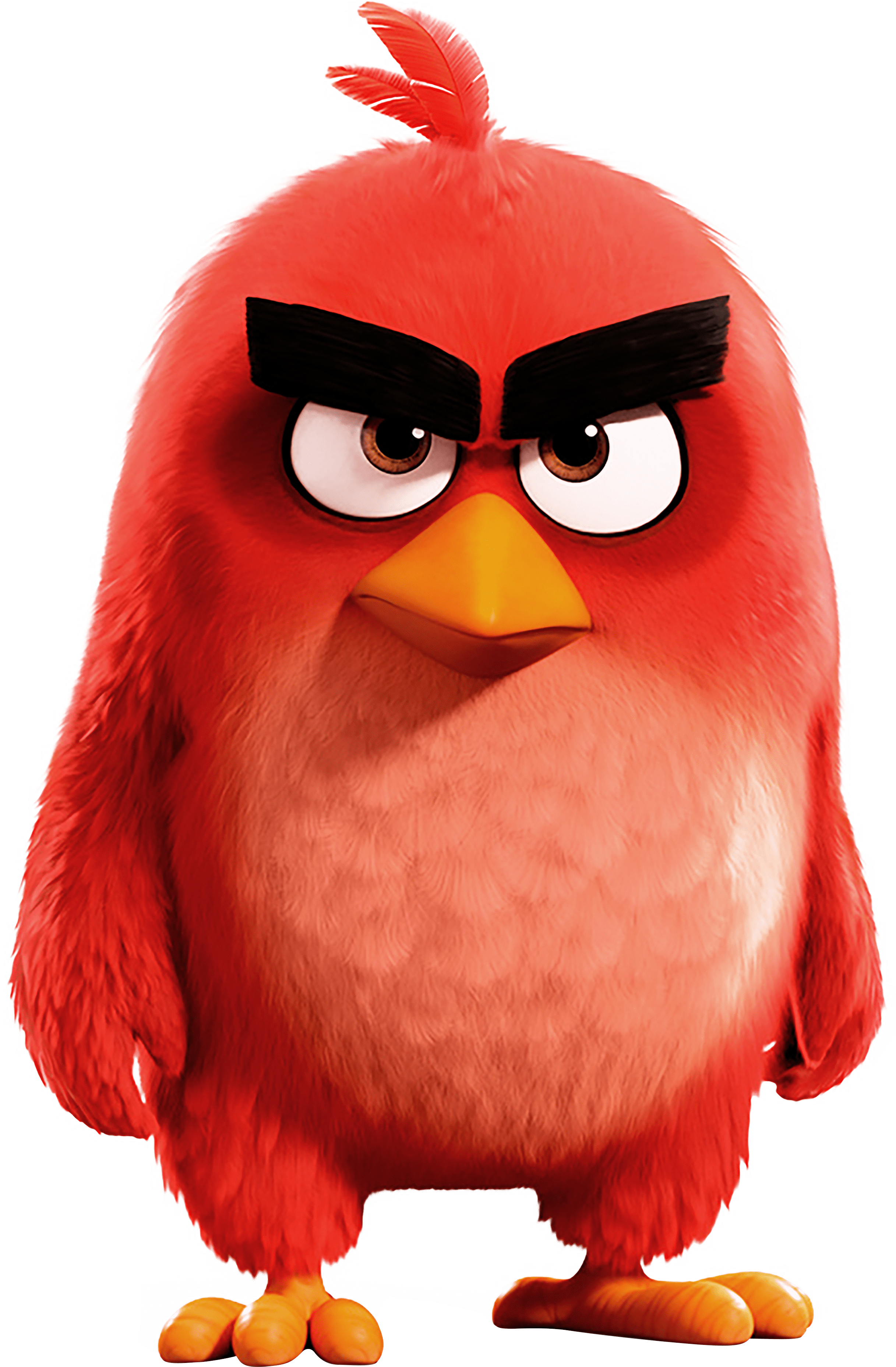 Angry Birds Red Wallpapers - Top Free Angry Birds Red Backgrounds