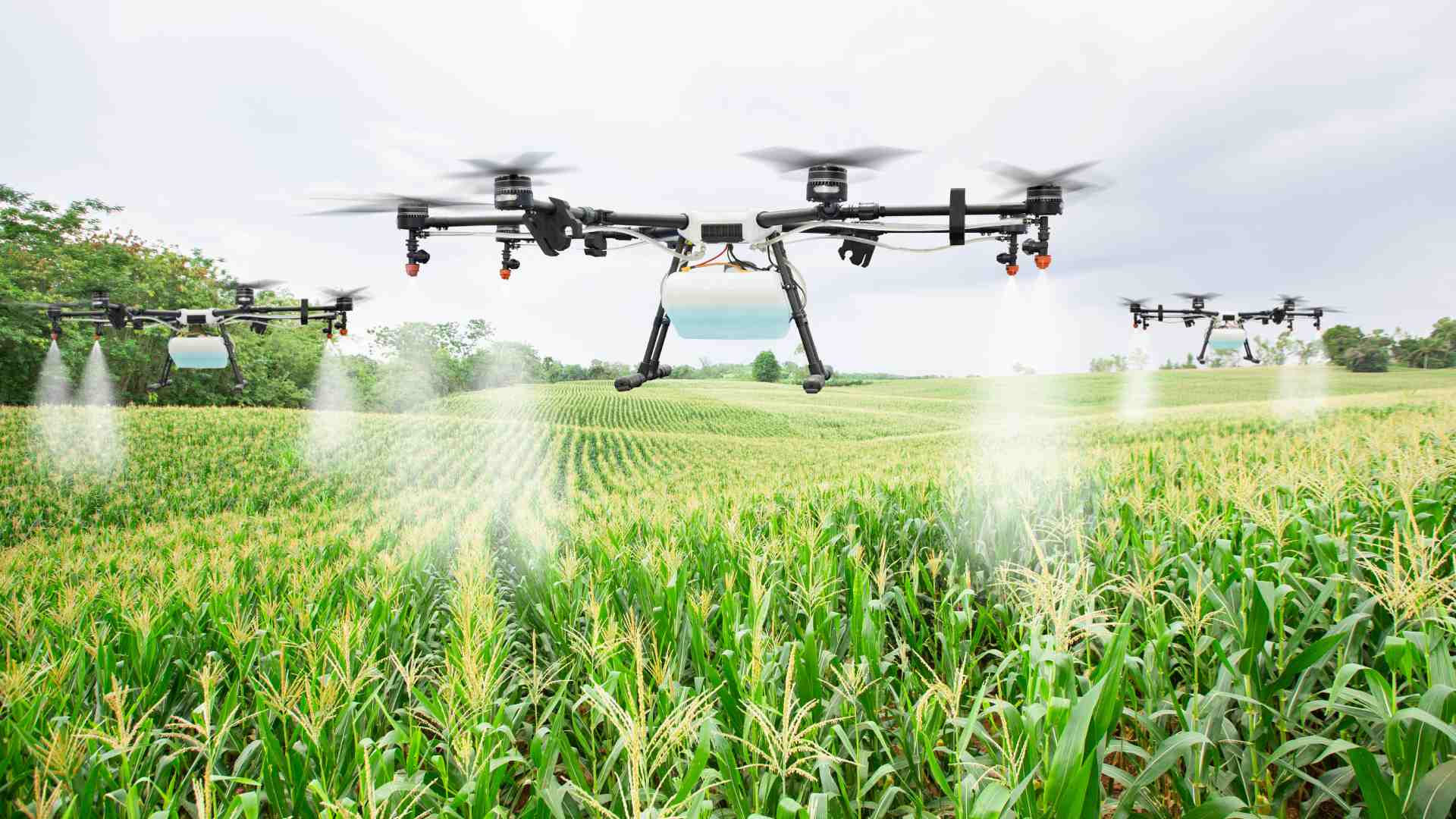 1920x1080 precision farming to feed 10bn