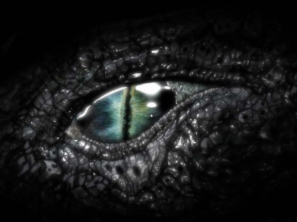 1024x768 Robot Eye Wallpaper