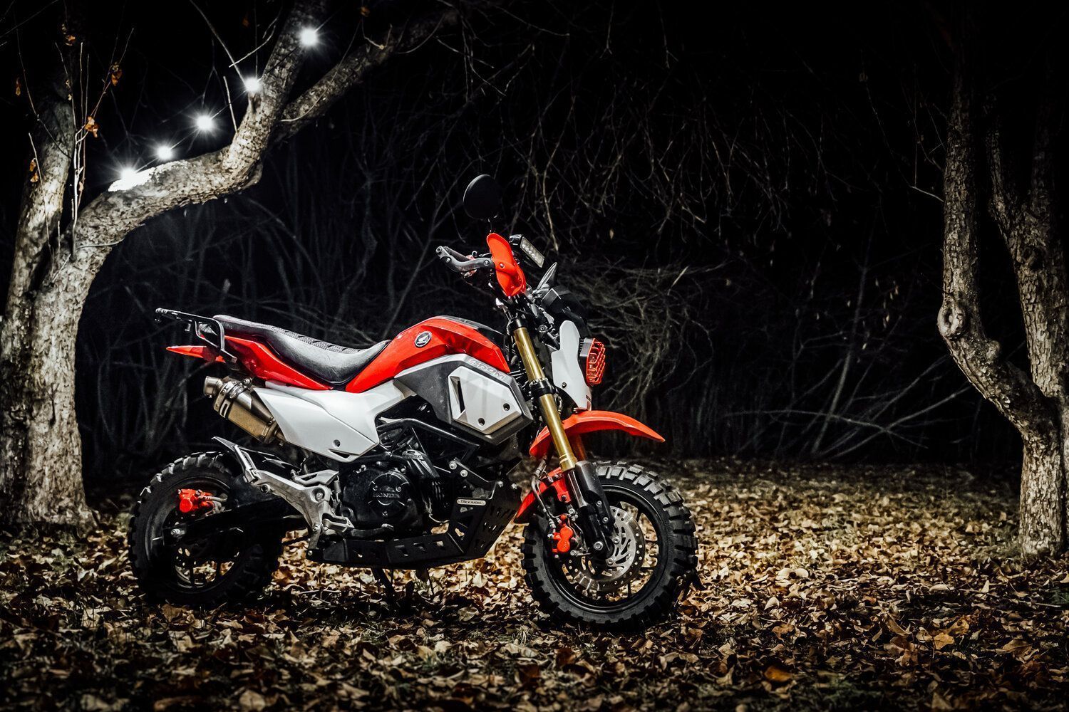 1500x1000 Honda Grom Dirt Bike Build