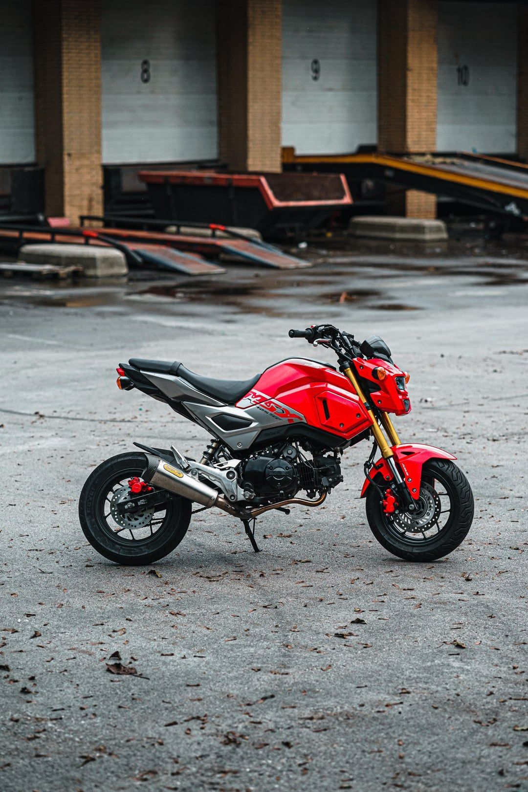 1080x1620 Honda MSX125 Grom [3934x5901] : r