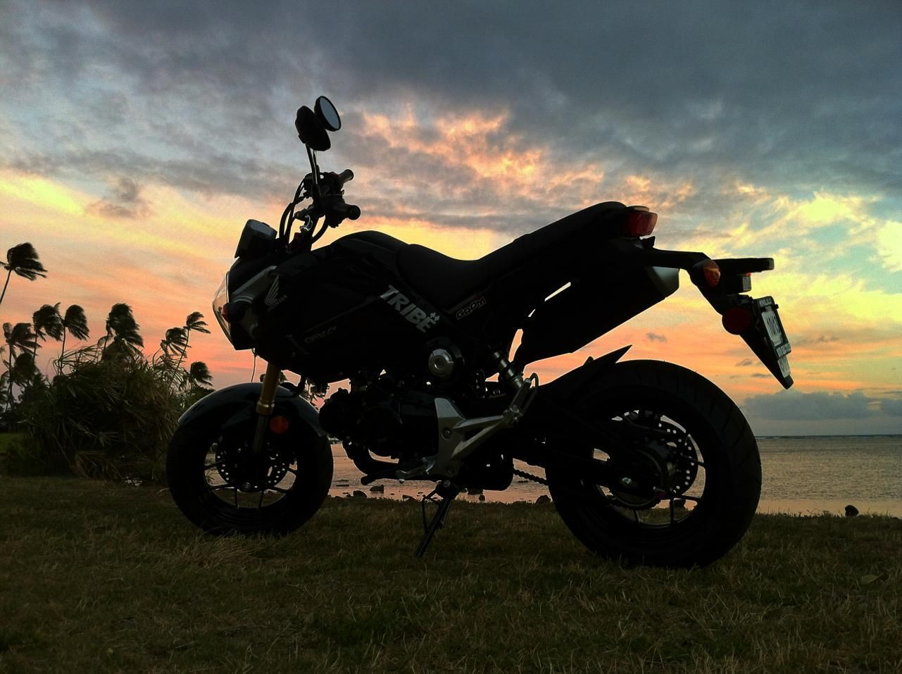 1281x957 Honda Grom. Stories. Eat Sleep Ride