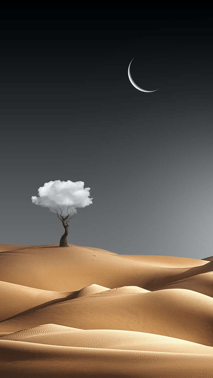 844x1500 Desert Fantasy iPhone Wallpaper HD