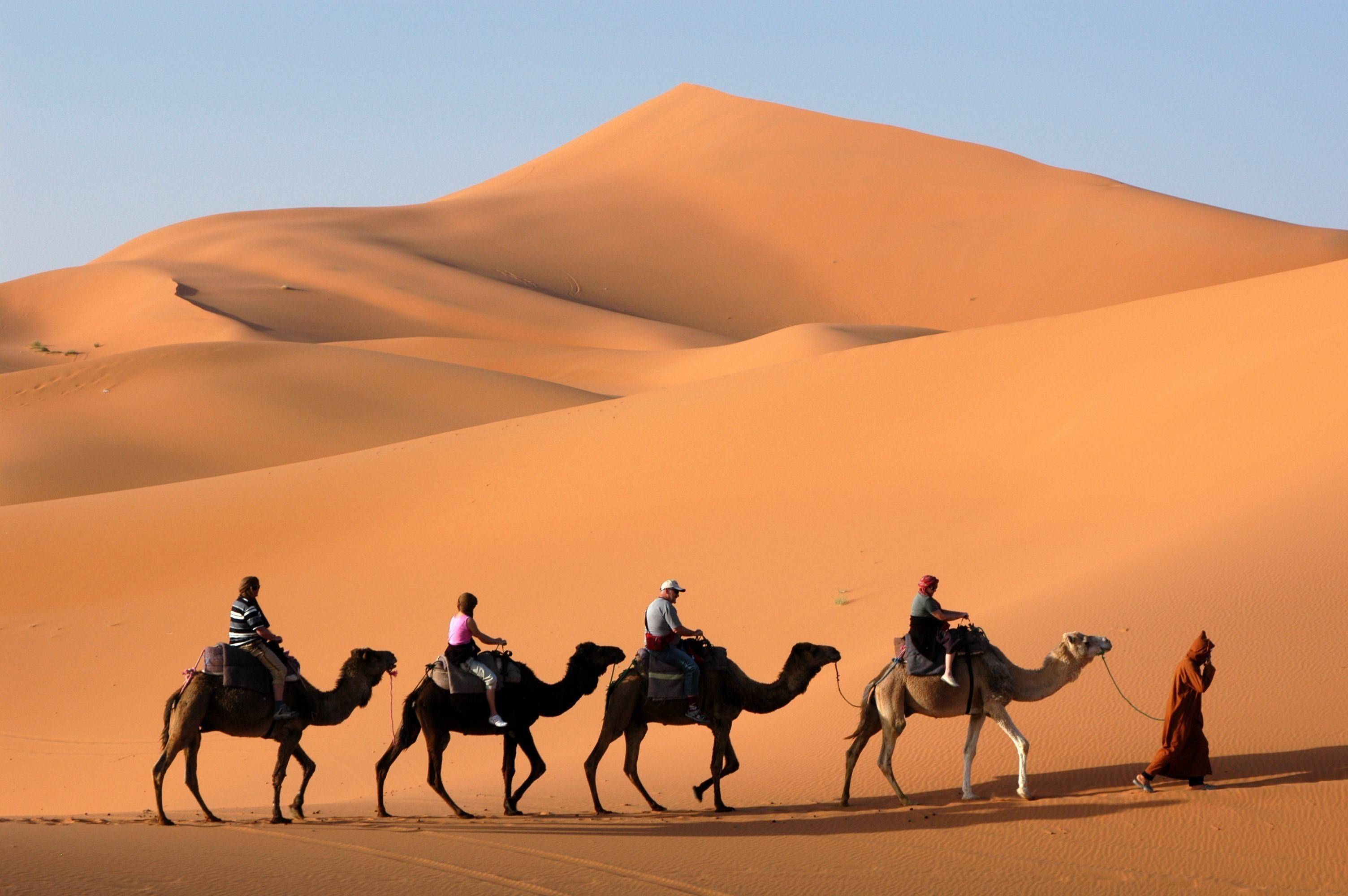 Люди каравана. Мерзуга Марокко. Бедуины в Египте. Бедуины Марокко. Караван с верблюдами в пустыне.