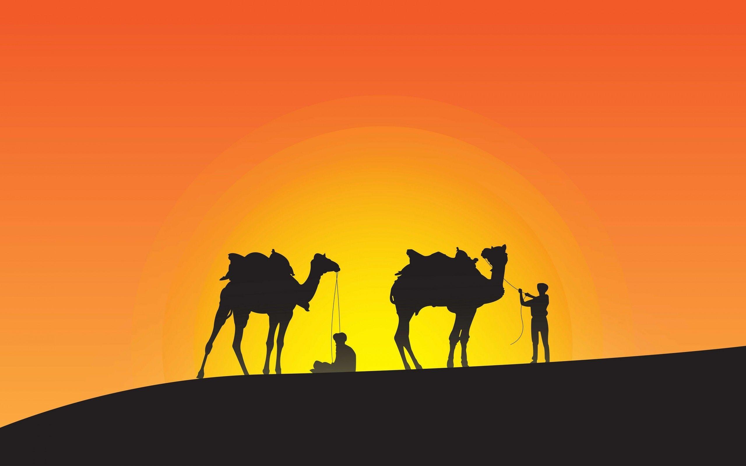 2560x1600 Download 2560x1600 Desert, Camel, People, Sunlight