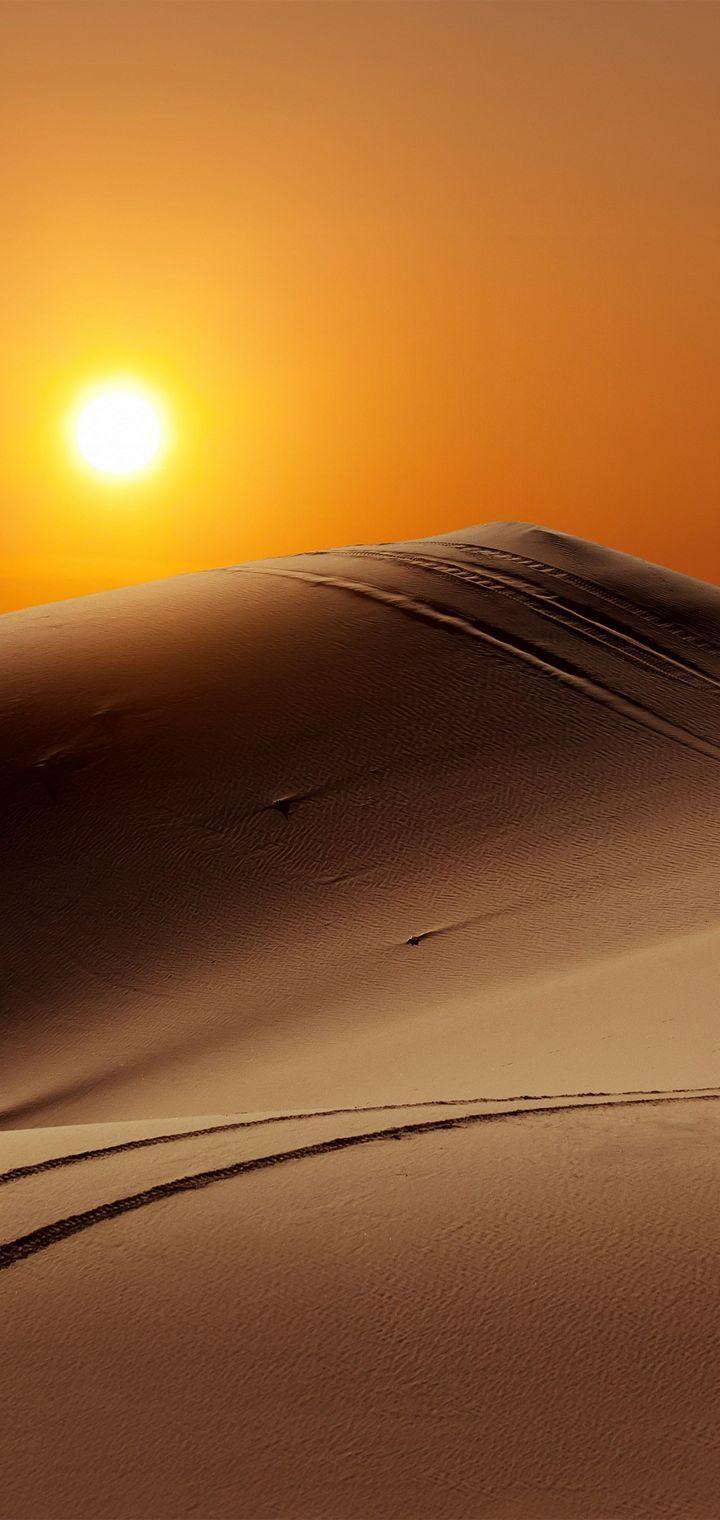 720x1520 Sun People Desert Camel Wallpaper - [720x1520]