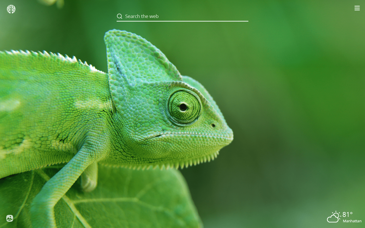 1280x800 Chameleon HD Wallpaper New Tab