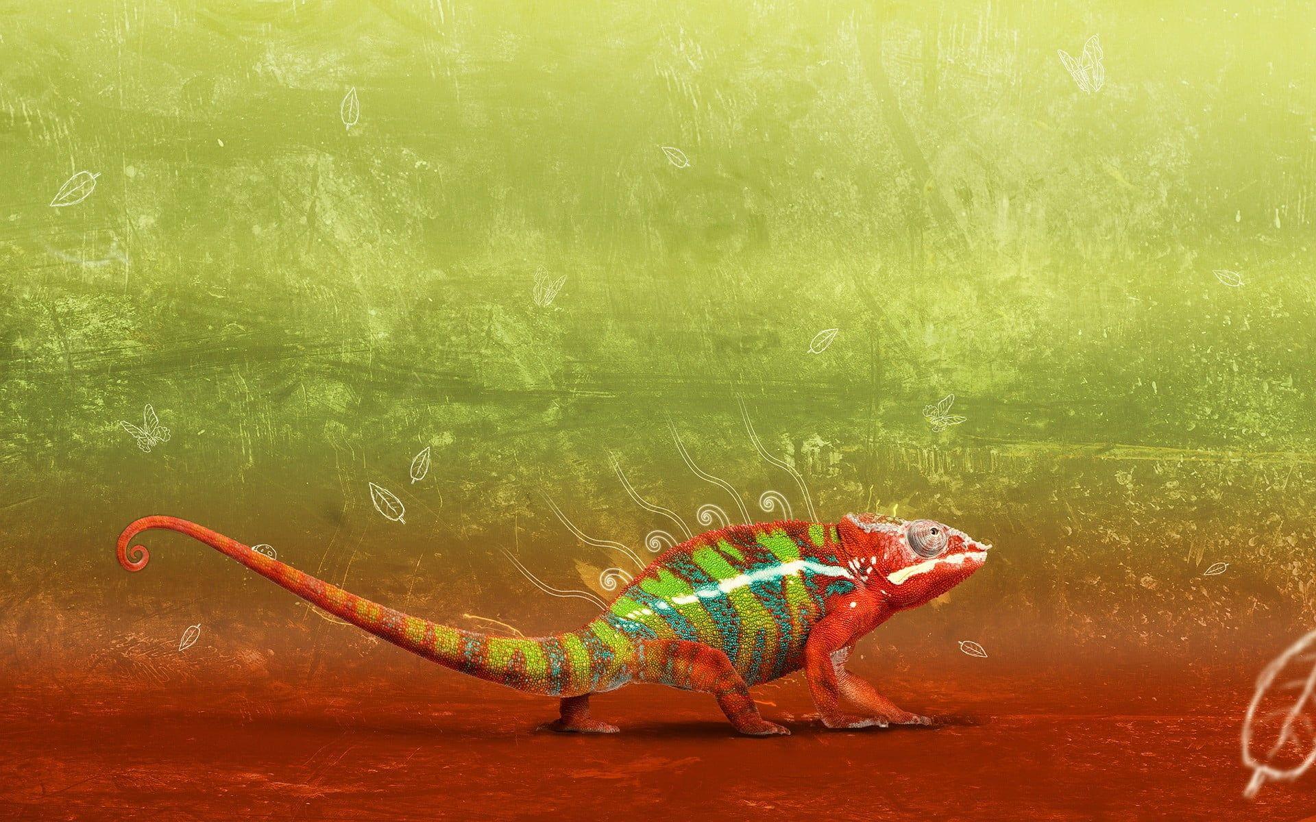1920x1200 Iguanas wallpaper HD wallpaper free download
