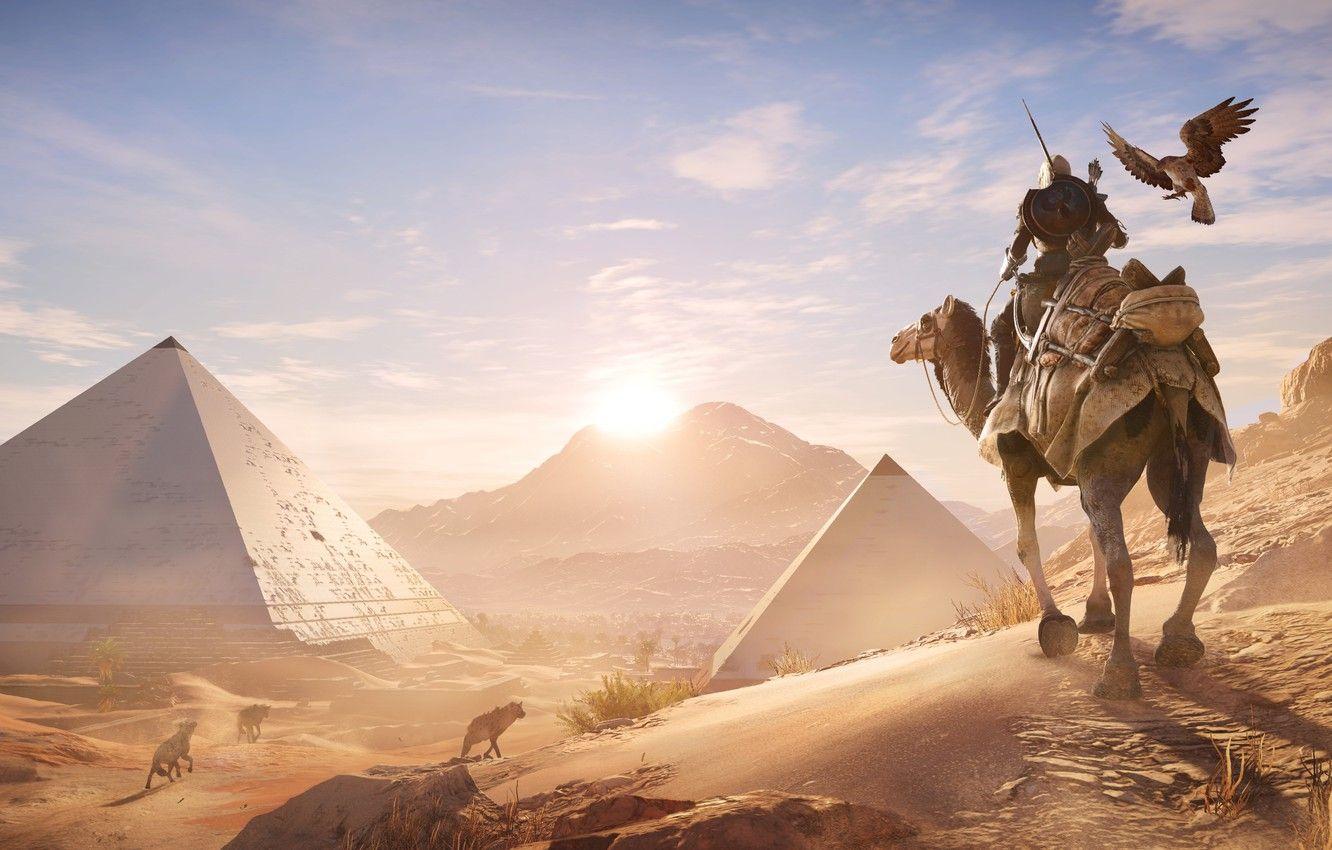 1332x850 Wallpaper sand, bird, desert, camel, pyramid, Egypt