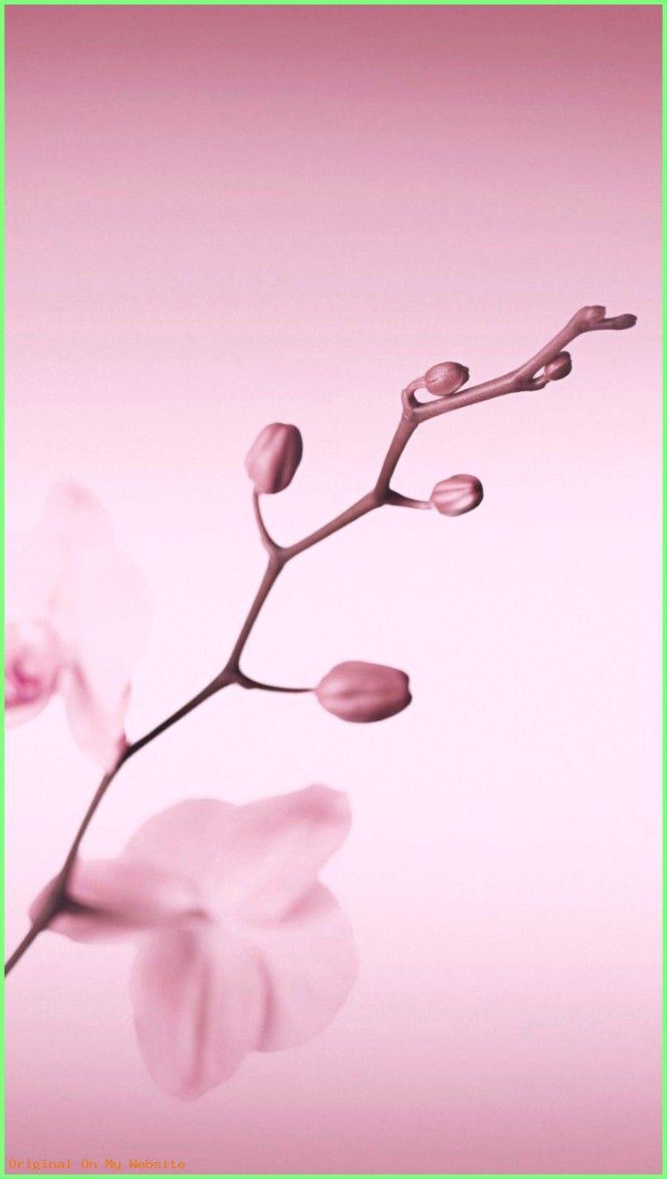 746x1318 Wallpaper Huawei.1 For Huawei P10 Plus デフォルト