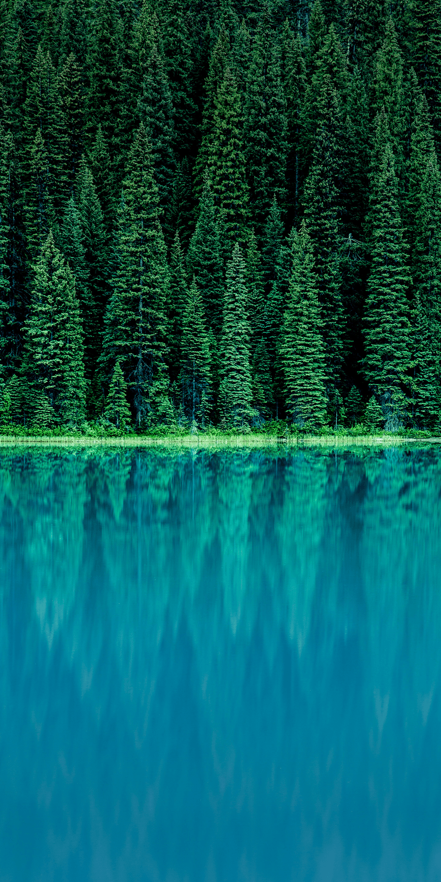 1440x2880 Download: Stock Wallpaper from the LG G6