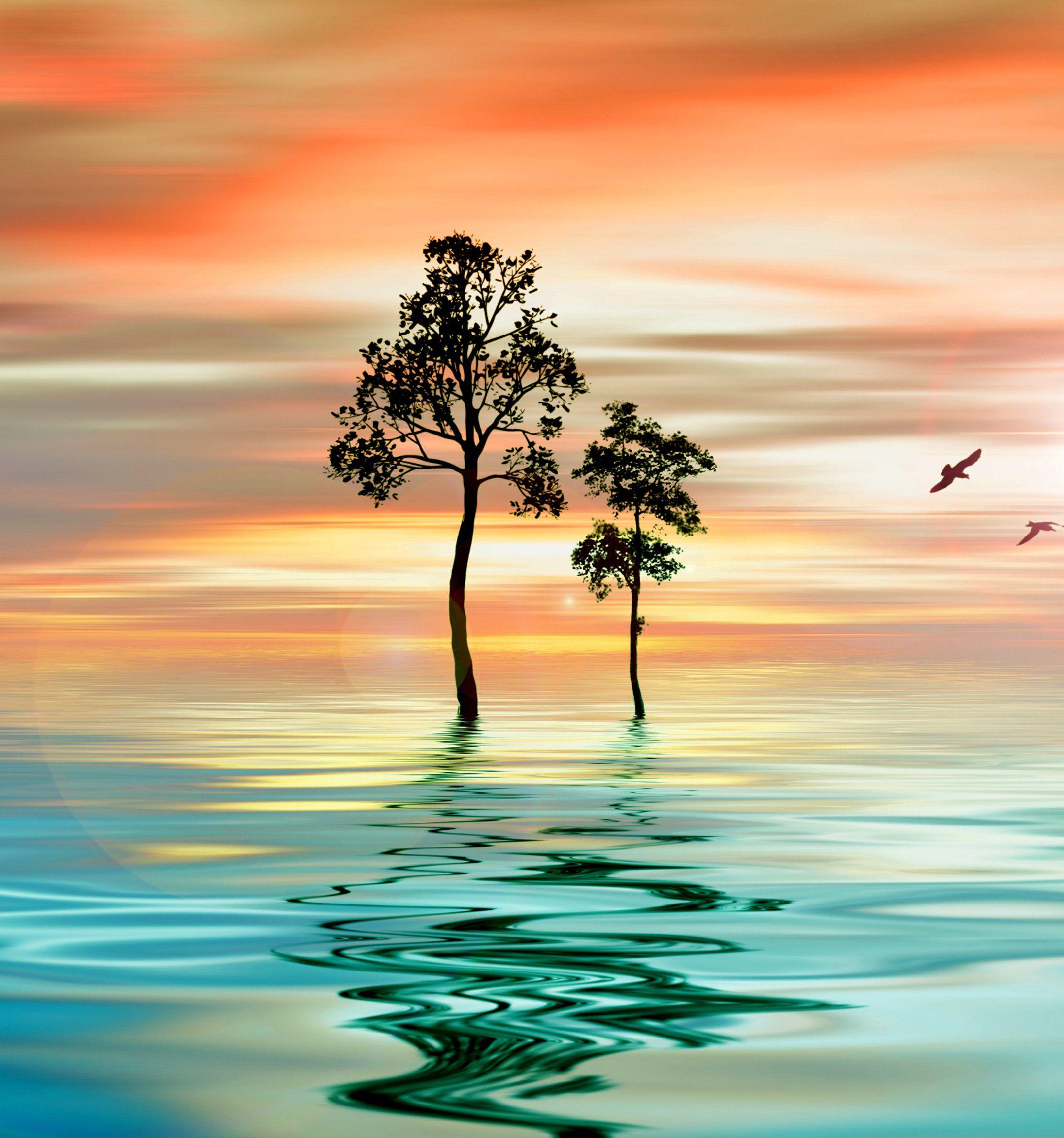 Huawei Nature Wallpapers Top Free Huawei Nature Backgrounds