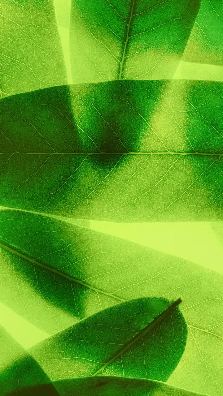 720x1280 Huawei P10 Wallpaper