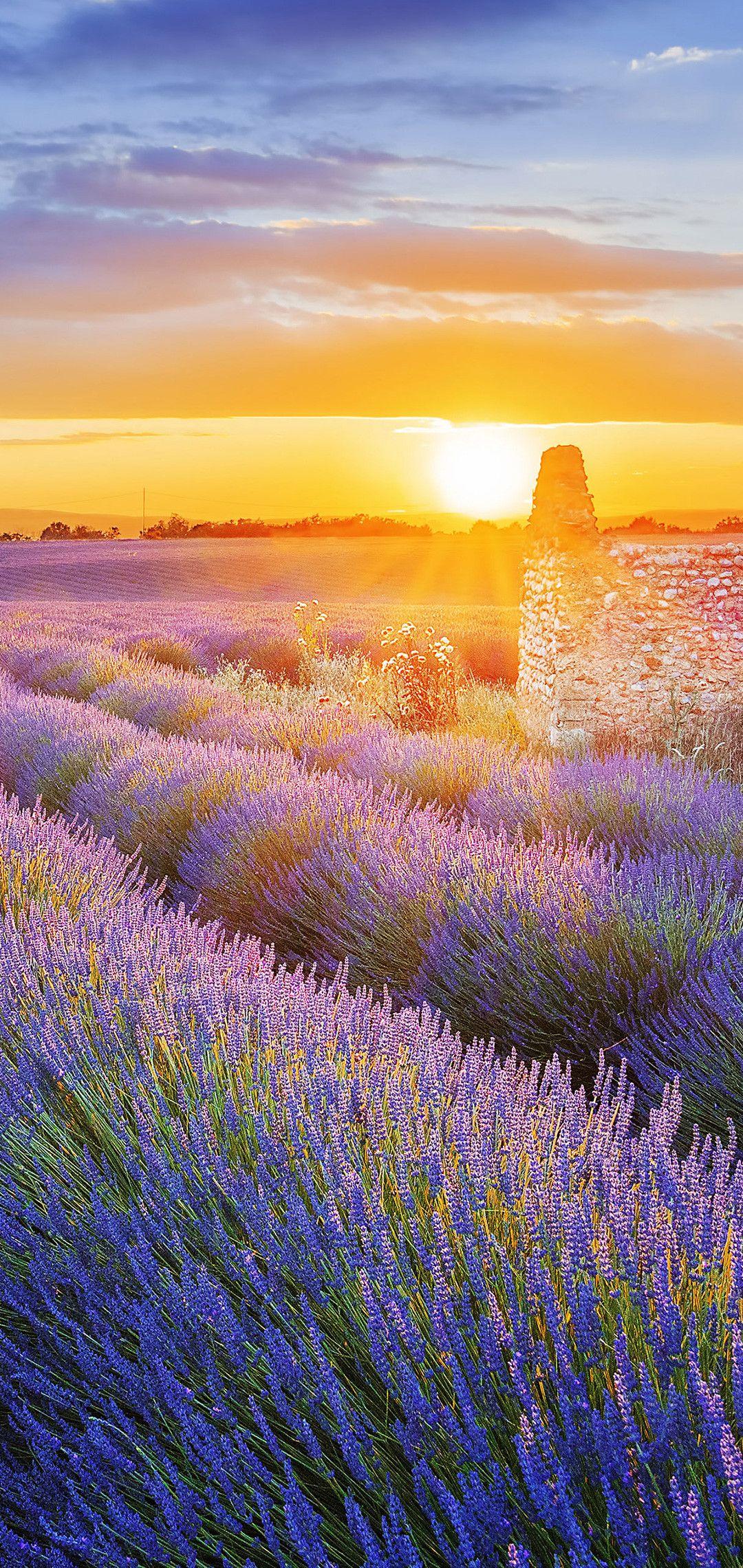 1080x2280 Huawei Honor 10 Stock Wallpaper P HD Wallpaper
