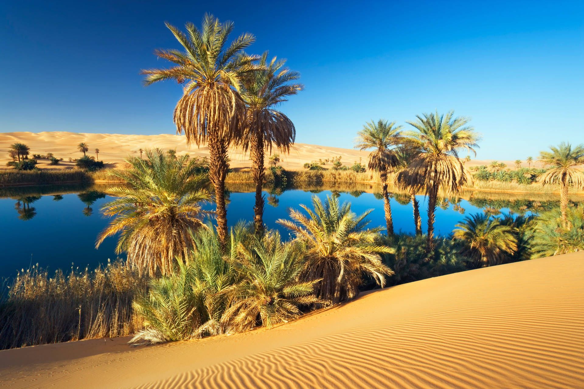 1920x1280 An Oasis In Mauritania Wallpaper