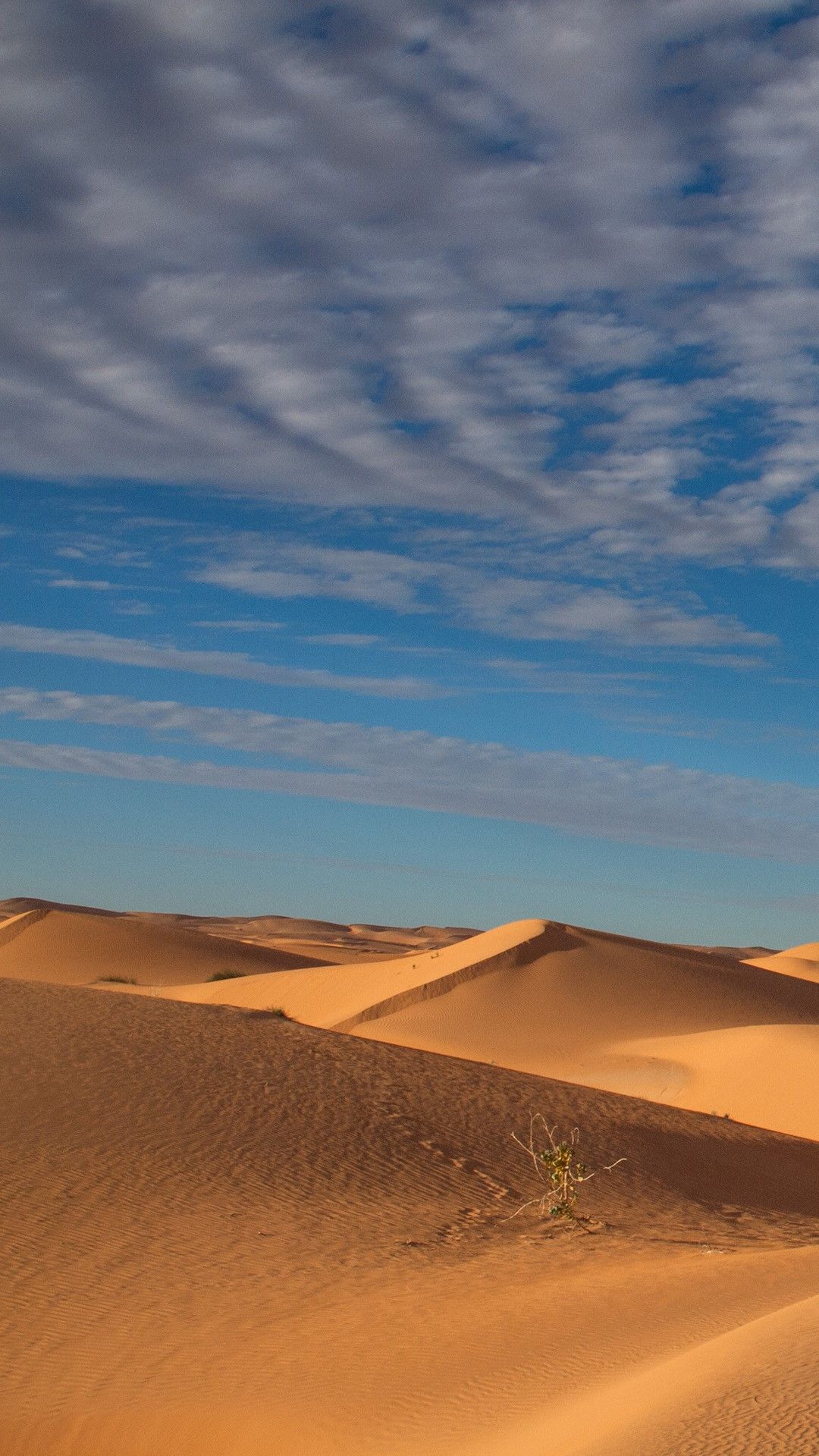 1080x1920 Late afternoon landscape of Sahara