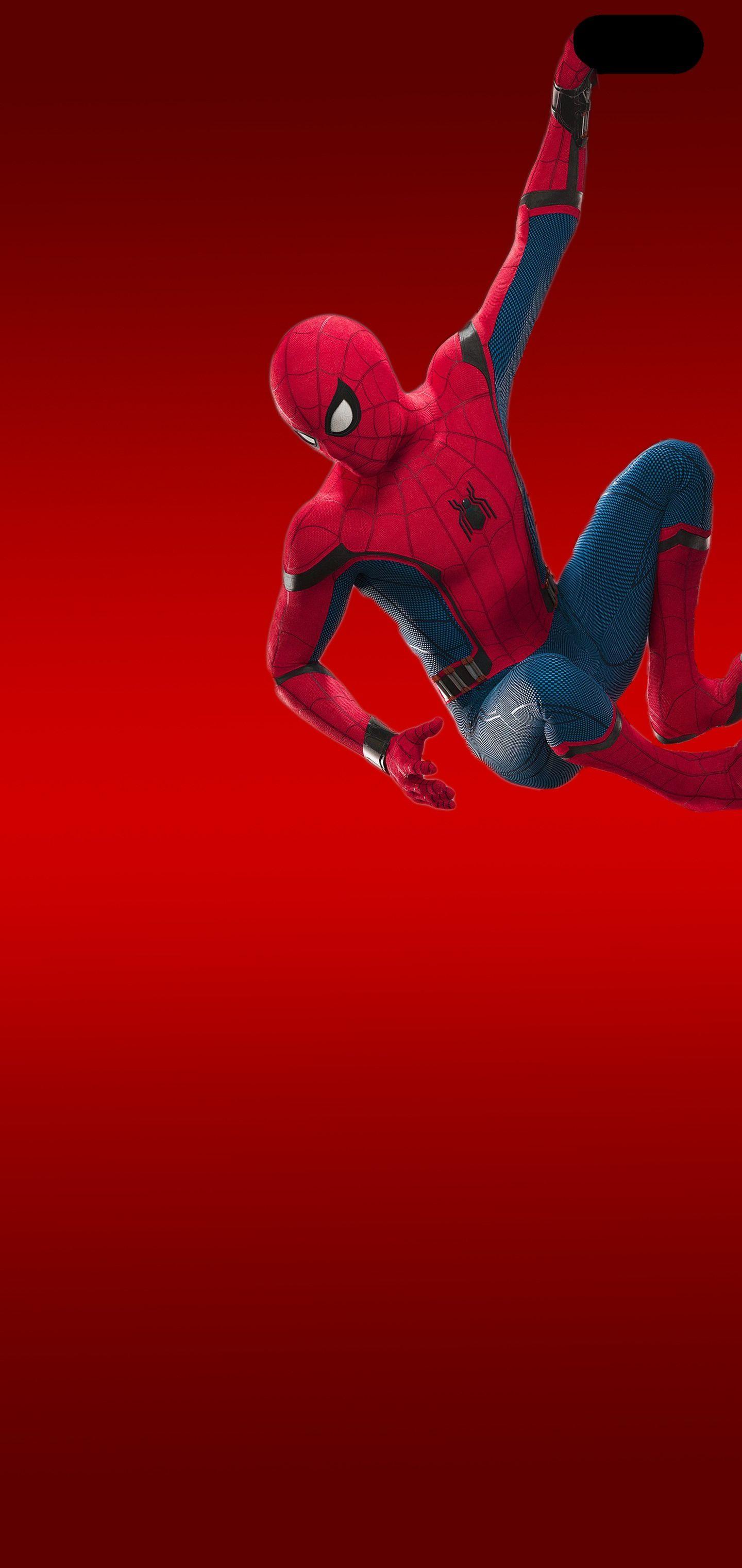 1440x3040 Best Samsung Galaxy S10 Plus/ S10 Wallpaper to hide Camera