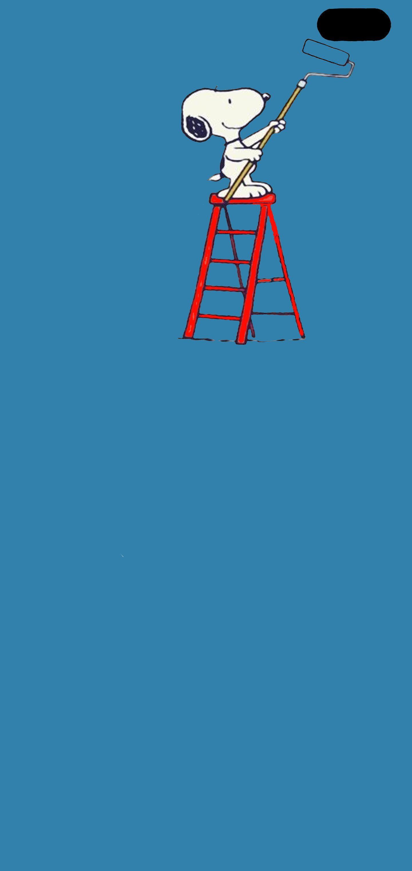 1440x3040 Best Samsung Galaxy S10 Plus and Galaxy S10 Wallpaper