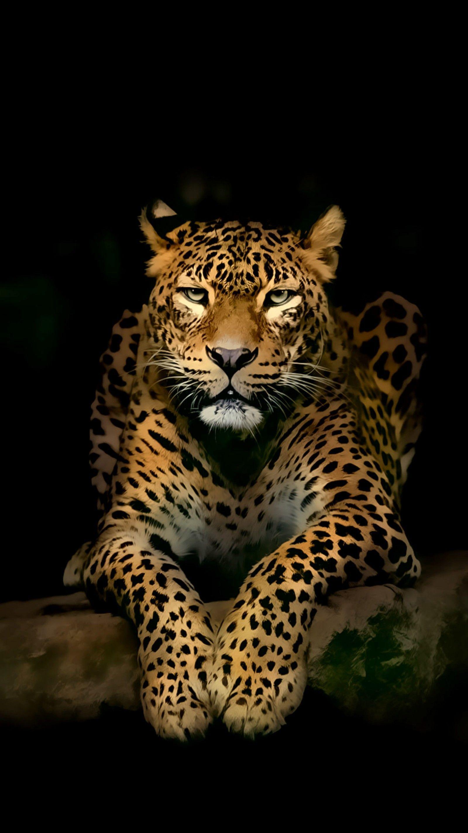 1600x2844 Ultra HD Mobile Wallpaper