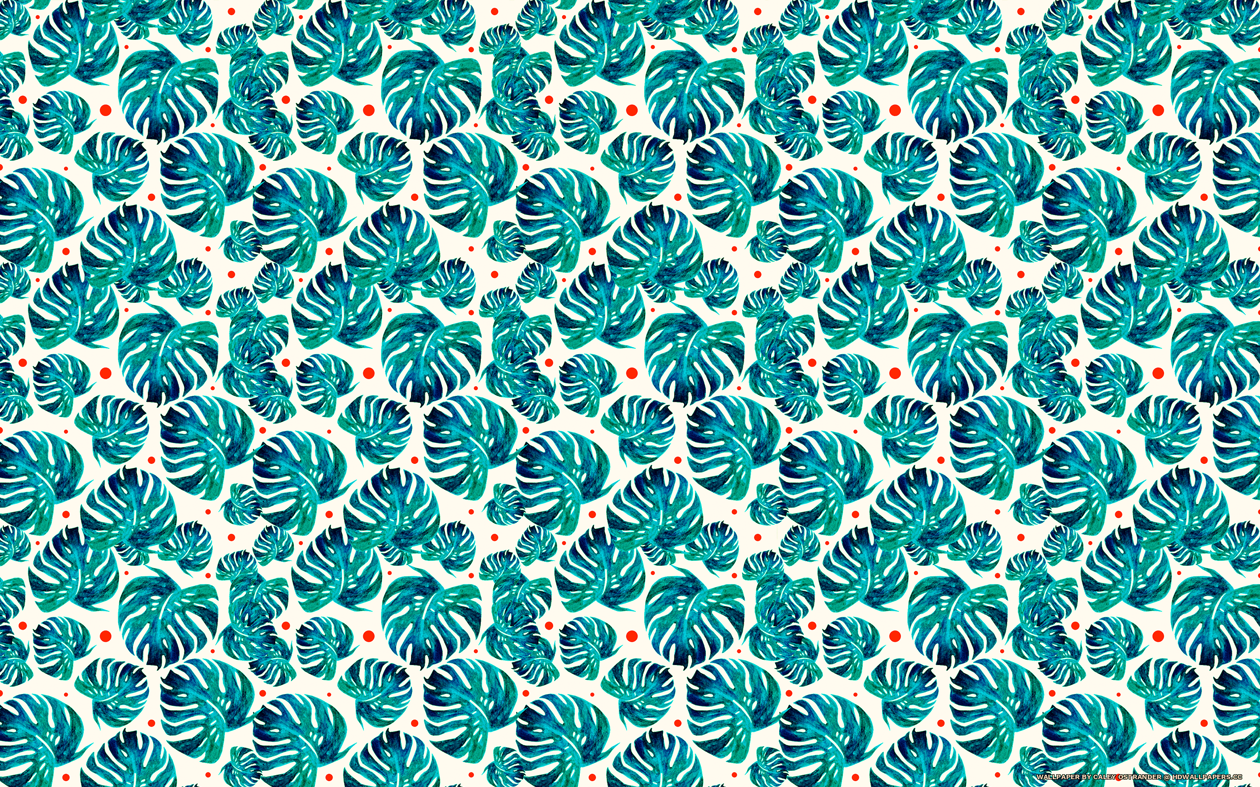 2560x1600 Tropical Culture Wallpaper