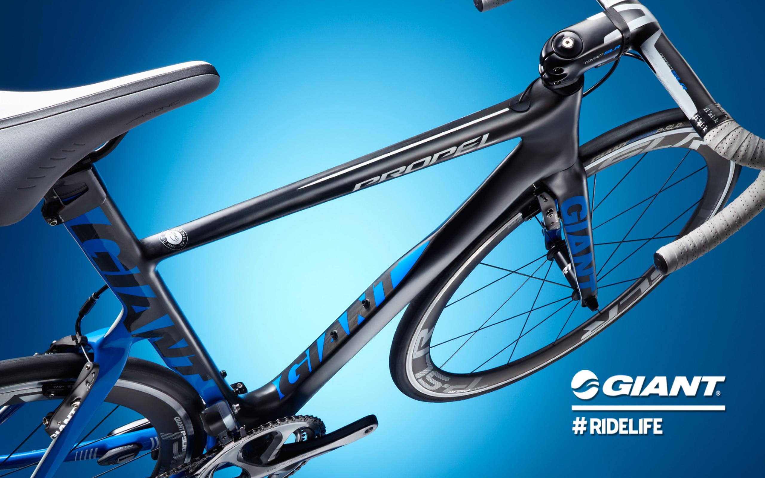 Probike. Шоссейник giant. Велосипед giant Propel Advanced. Велосипед giant Revive. Шоссейный велосипед 2022.