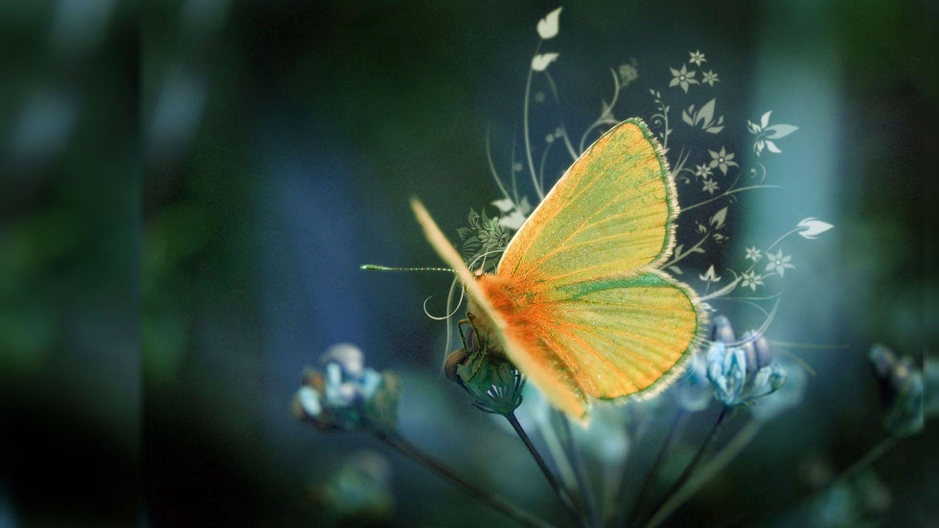 1920x1080 Popular Background Free Download
