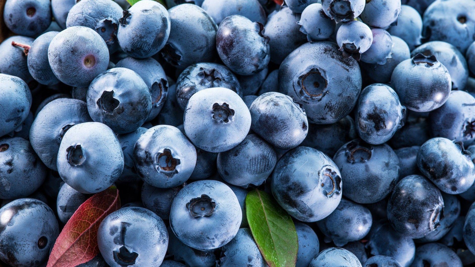 1920x1080 Download 1920x1080 Blueberries, Fruits, Close Up Wallpaper