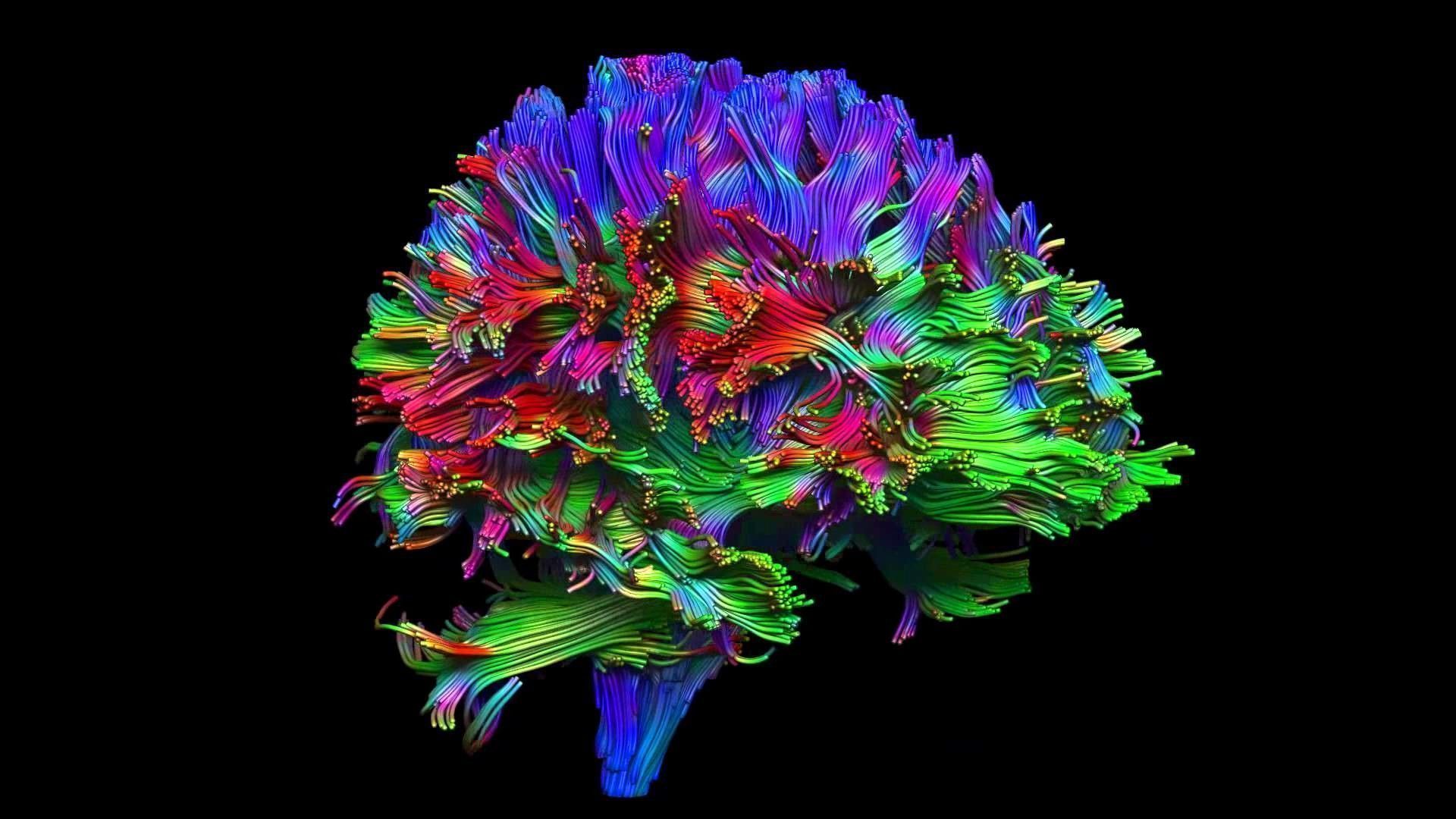 1920x1080 Psychology Wallpaper