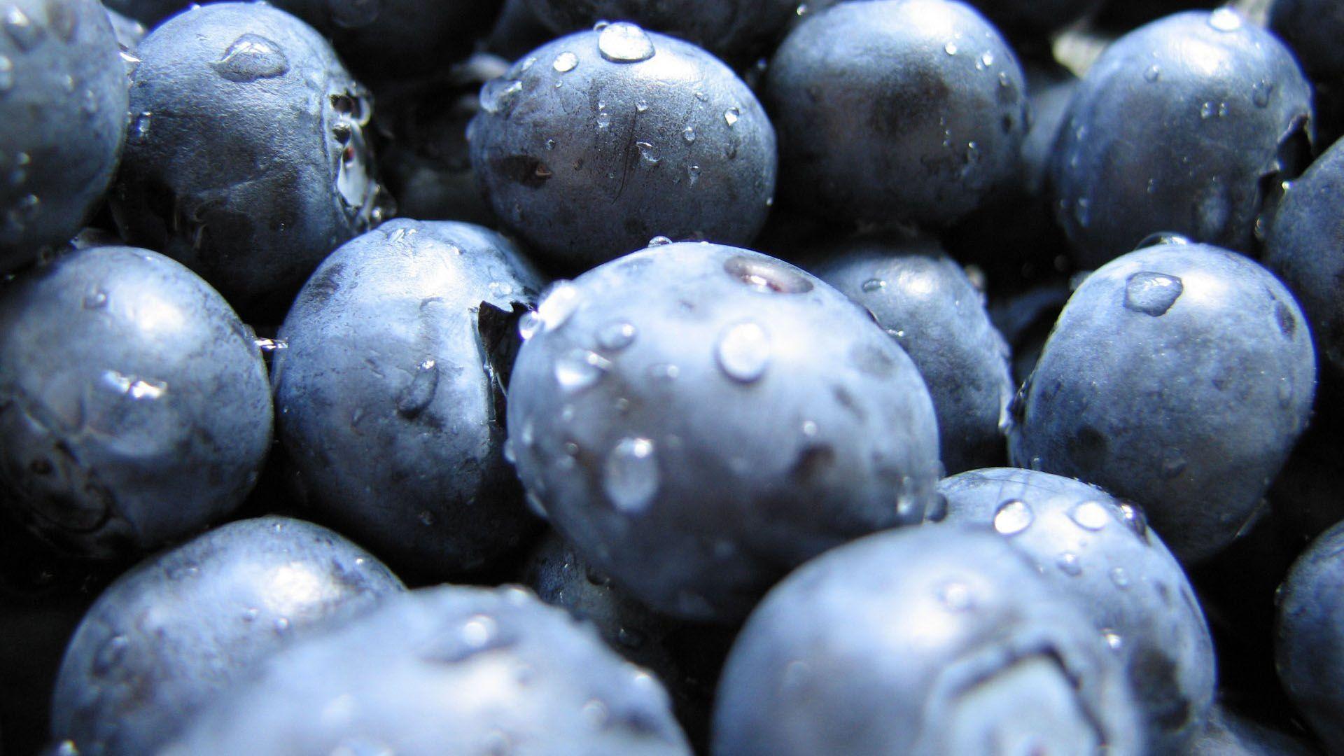 1920x1080 Blueberries Closeup HD Wallpaper FullHDWpp HD
