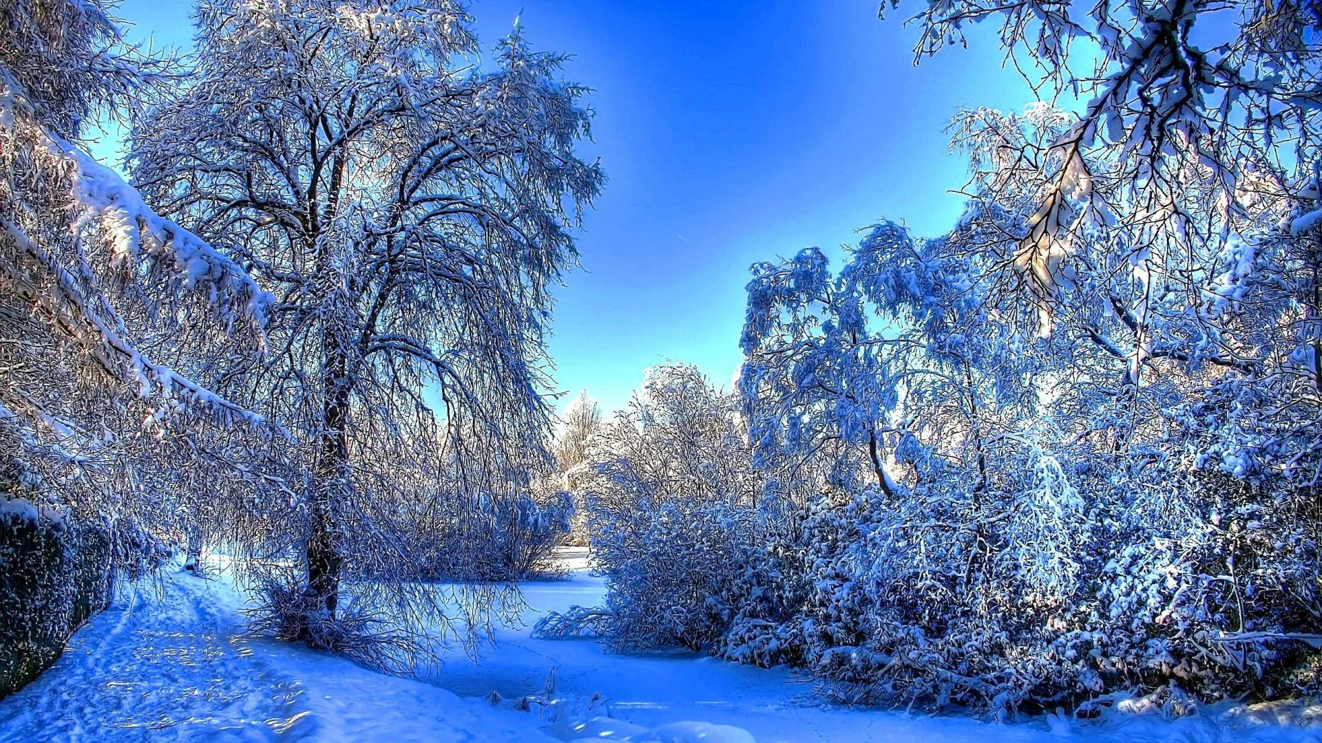 1920x1080 Winter Wallpaper 1920x1080