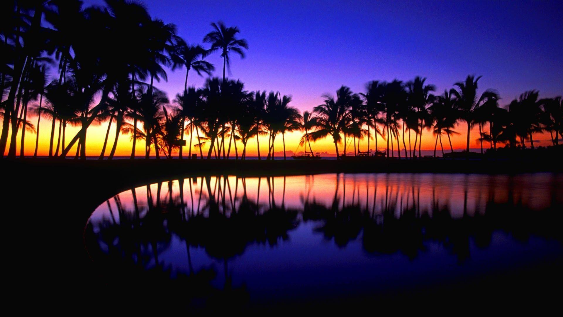 1920x1080 Tropical Wallpaper 12 X 1080
