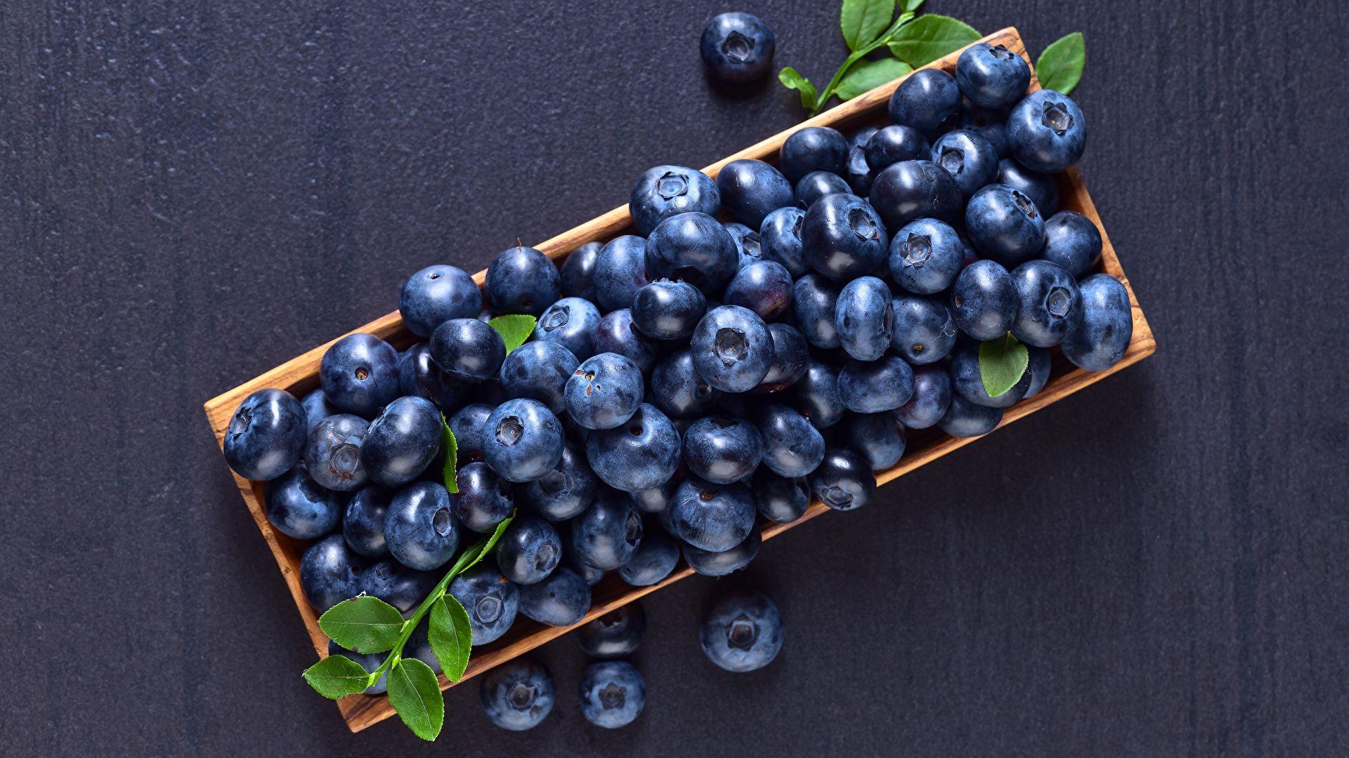 1920x1080 Wallpaper Blueberries Food Berry Many Gray background 1920x1080