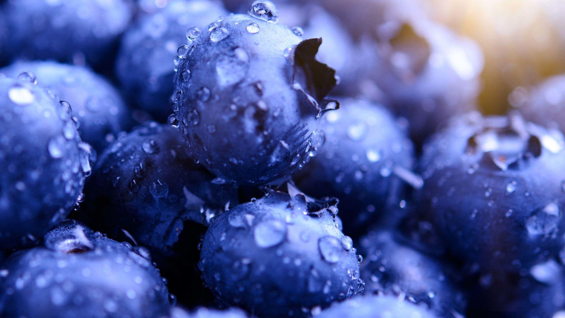 1920x1080 Download 1920x1080 wallpaper blueberries, drops, macro, full