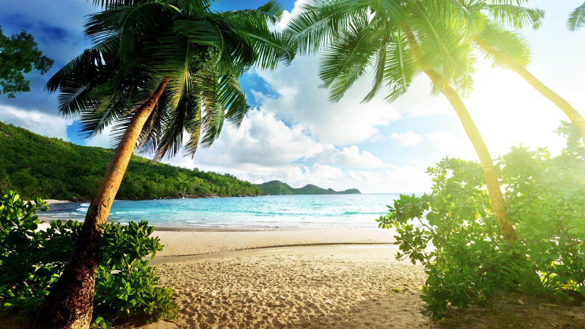 1920x1080 Tropical Paradise Wallpaper