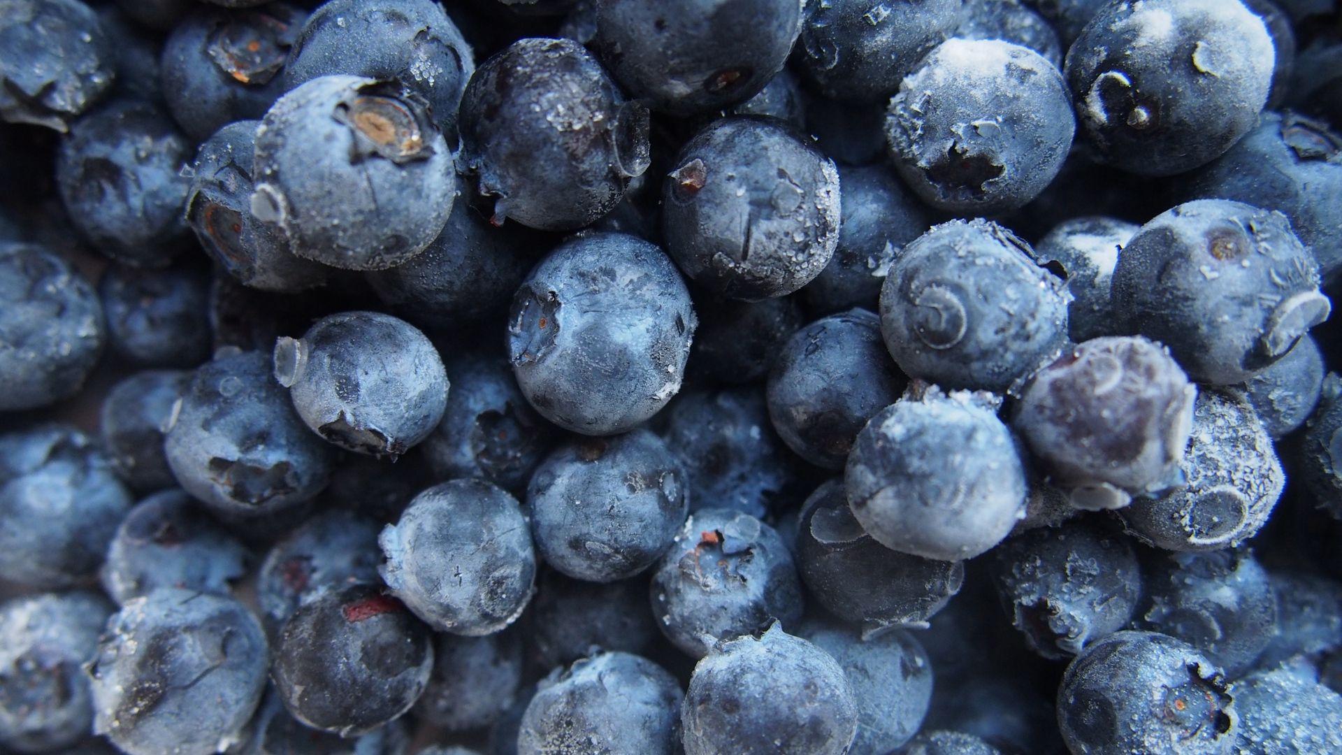 1920x1080 Download wallpaper 1920x1080 blueberries, berries, harvest