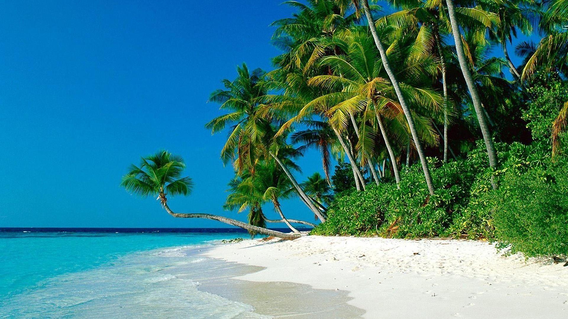 1920x1080 Tropical Background 1920x1080