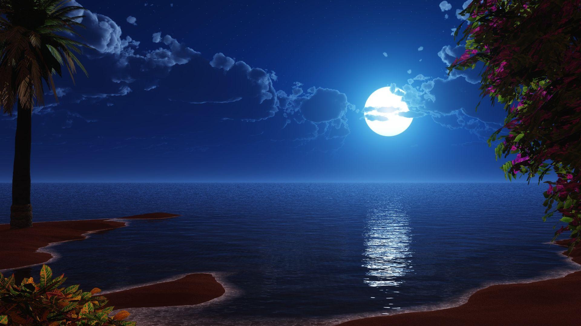 1920x1080 Download 1920x1080 wallpaper tropical beach, coast, full