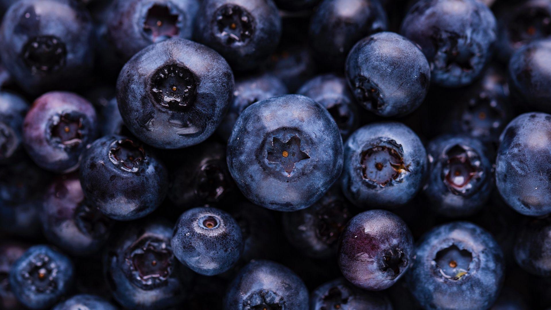 1920x1080 Download wallpaper 1920x1080 blueberries, berries, ripe full