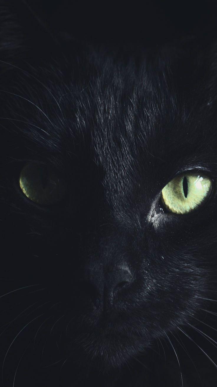 736x1308 Super Scary Halloween iPhone Xs Max Wallpaper. Preppy