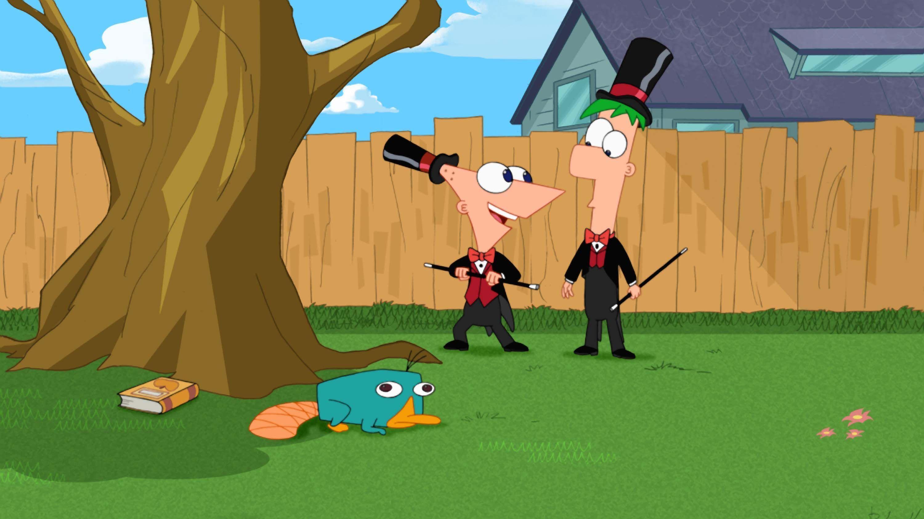 3000x1688 Perry The Platypus Wallpaper Free Wallpaper & Background